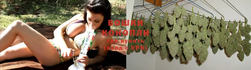 МАРИХУАНА OG Kush  Кингисепп 